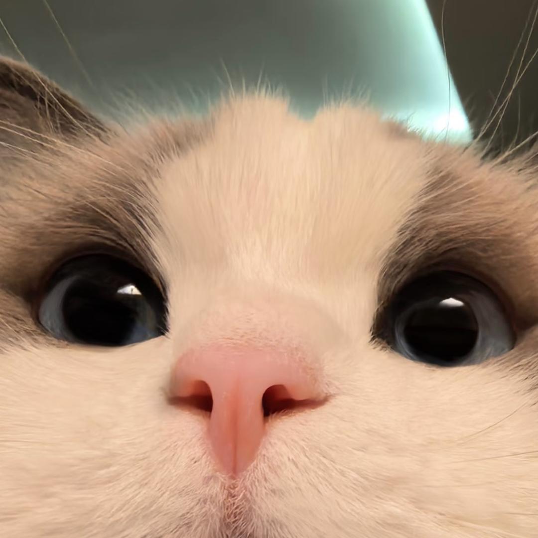 小石大人