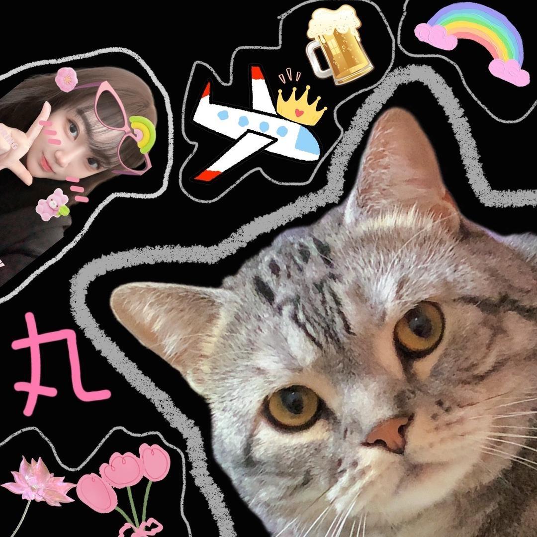 丸子不爱吃丸子🍡