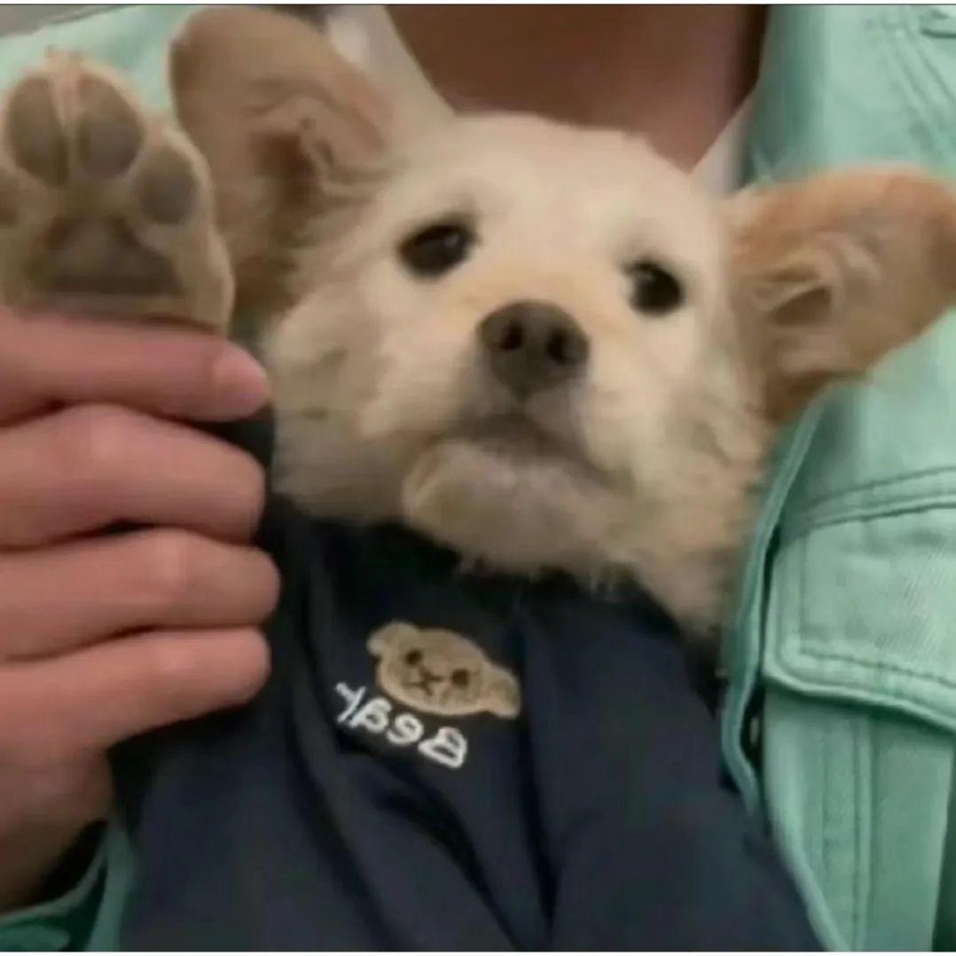 哇咔咔啦涤尘🎈