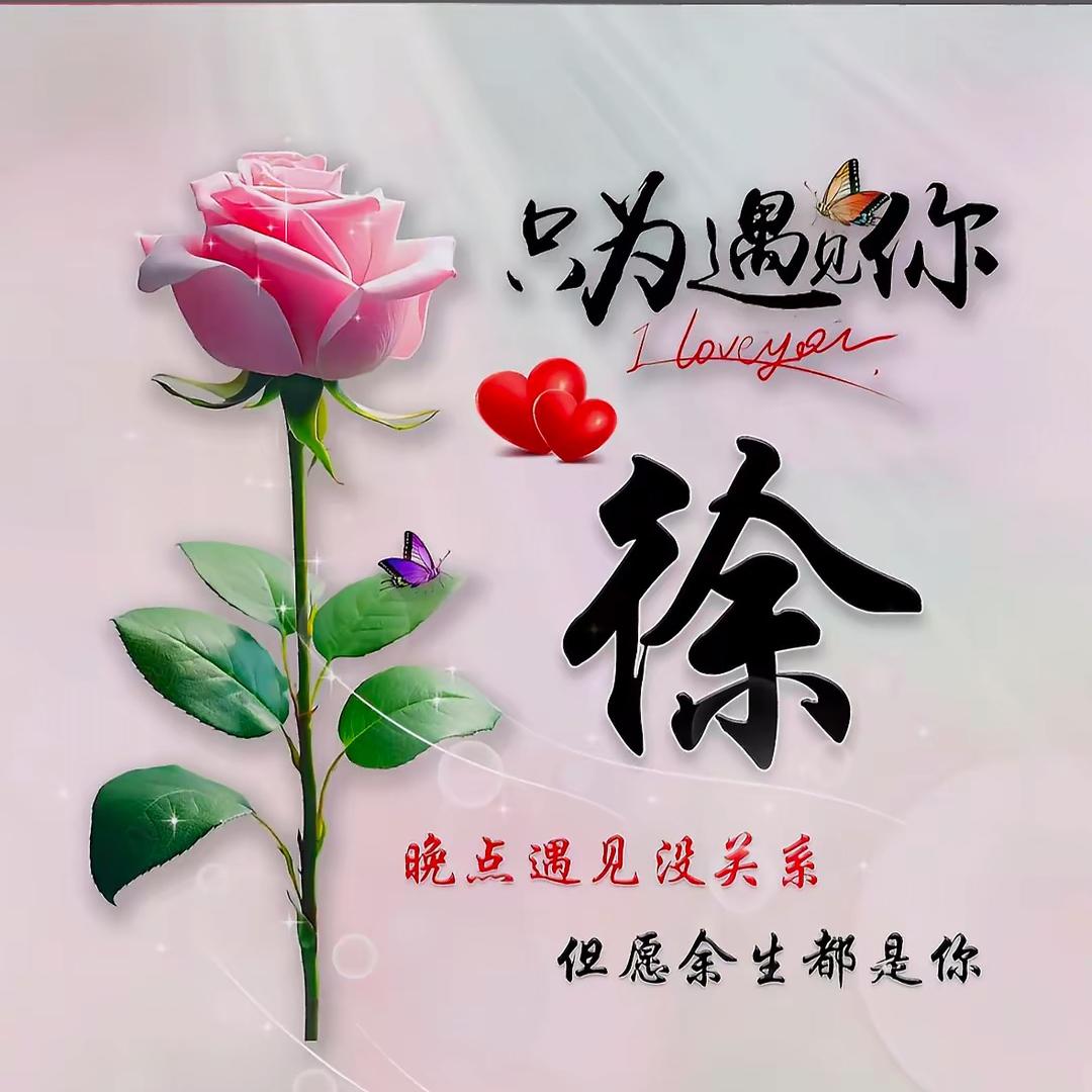 冰城无情