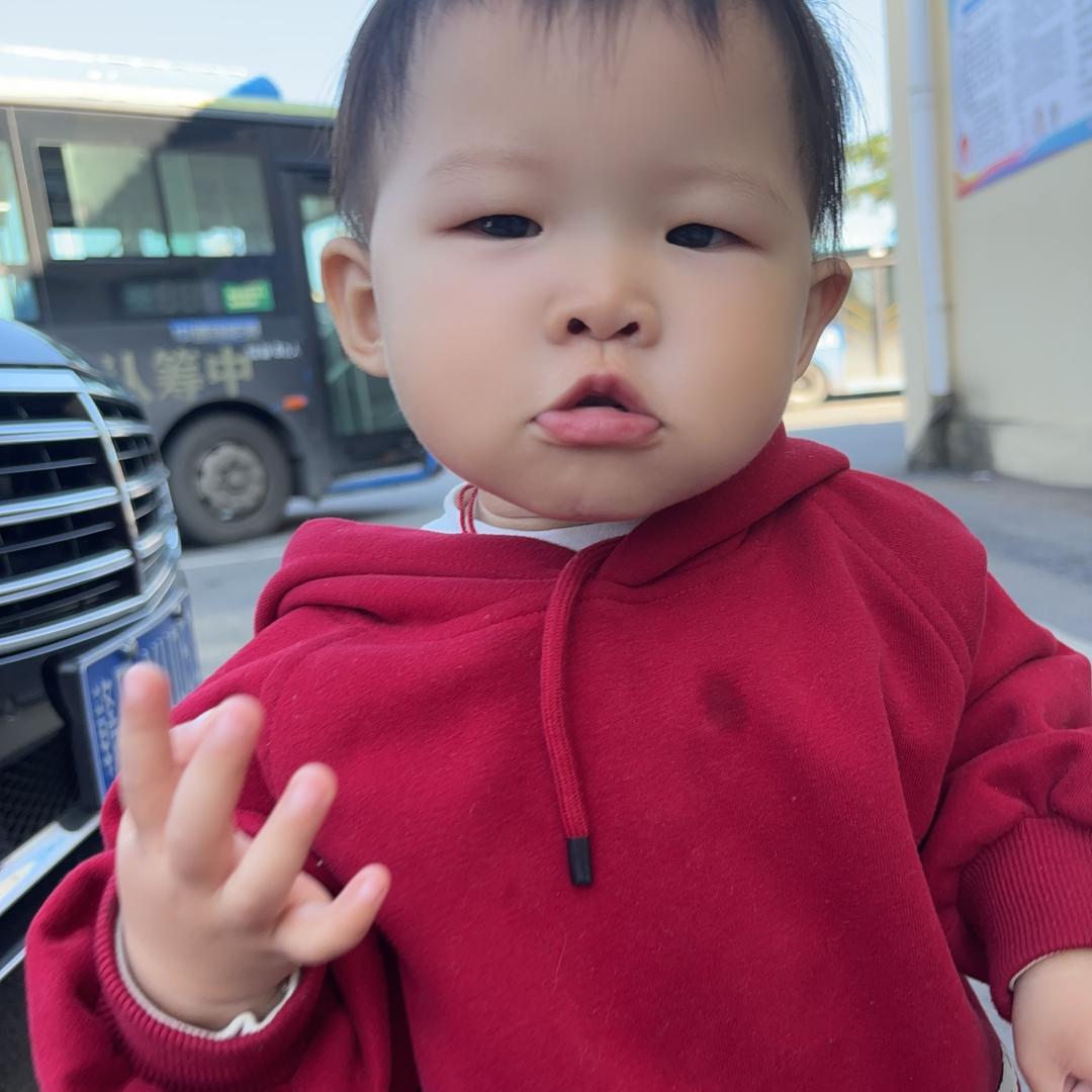 暴躁的兔子