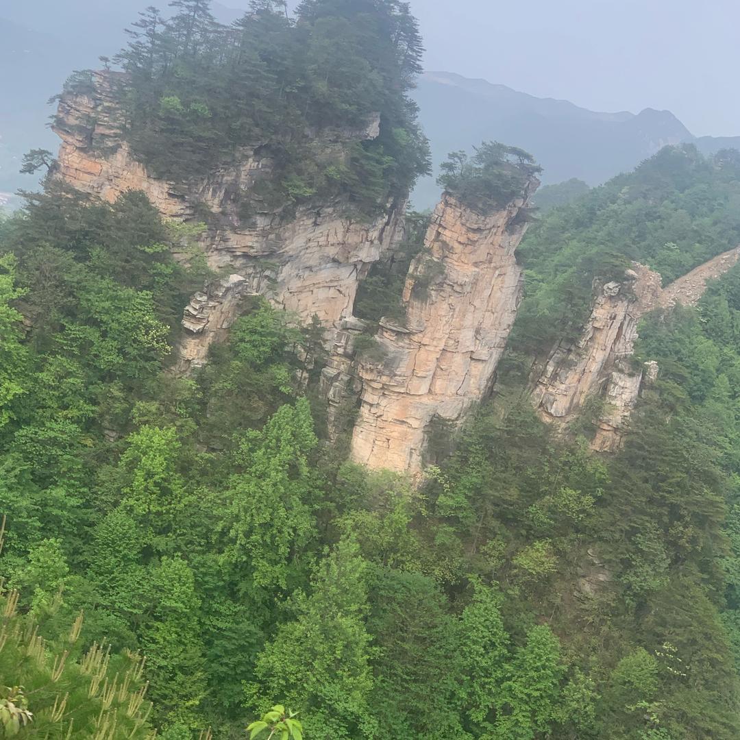 光辉王刚