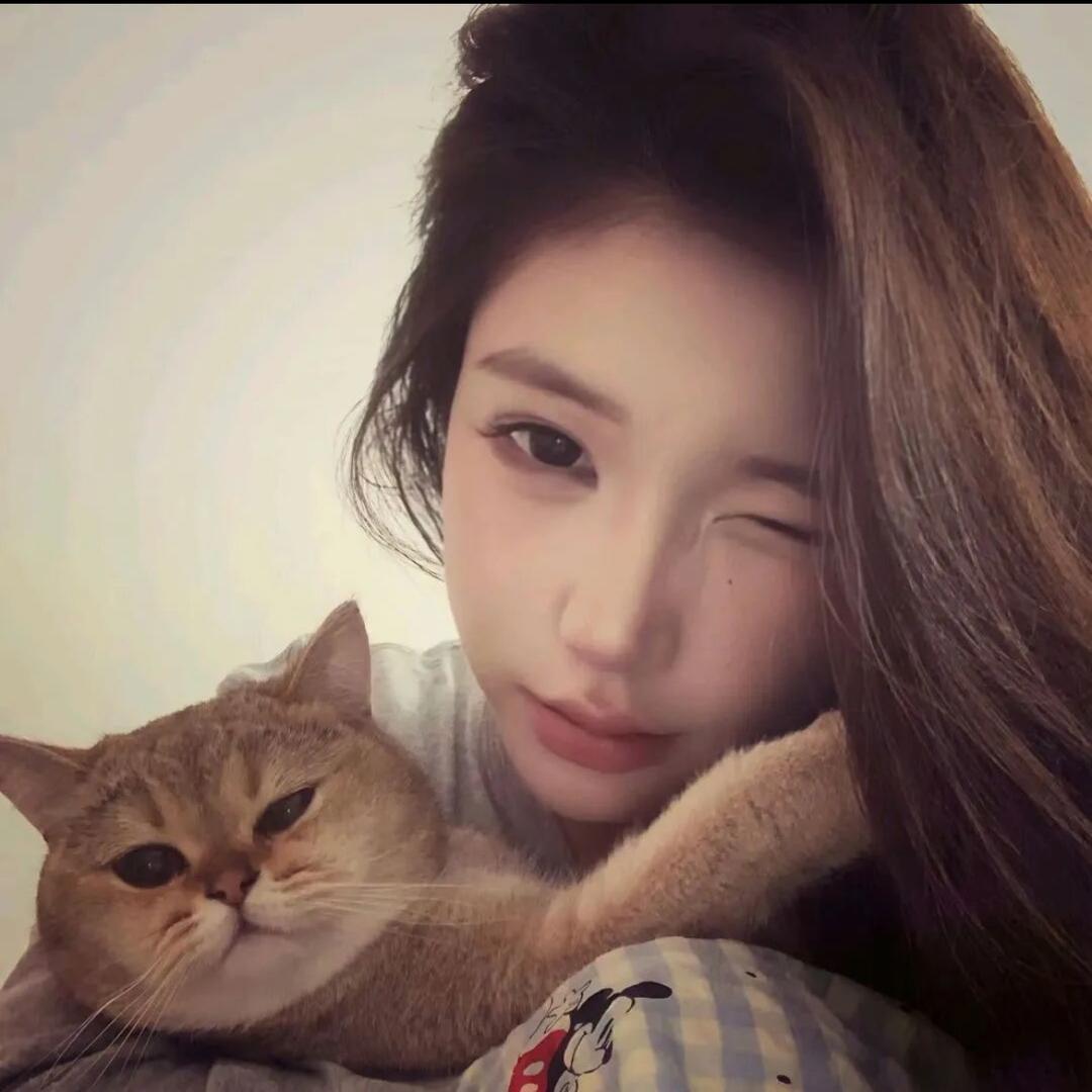 凯蒂猫.