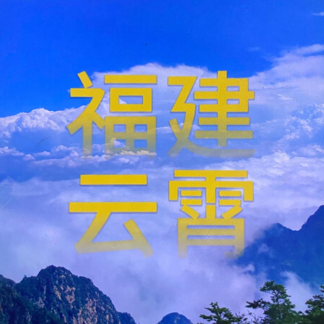 忙碌小芒果