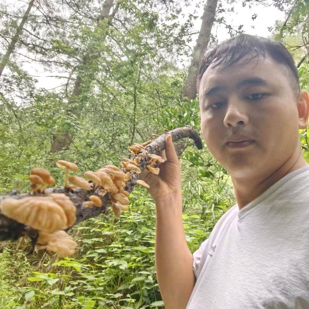 一只委屈