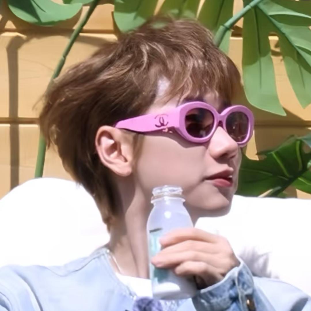 猫别生气（重生版）