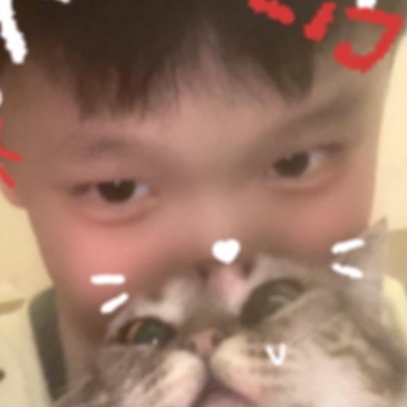 三三的日常