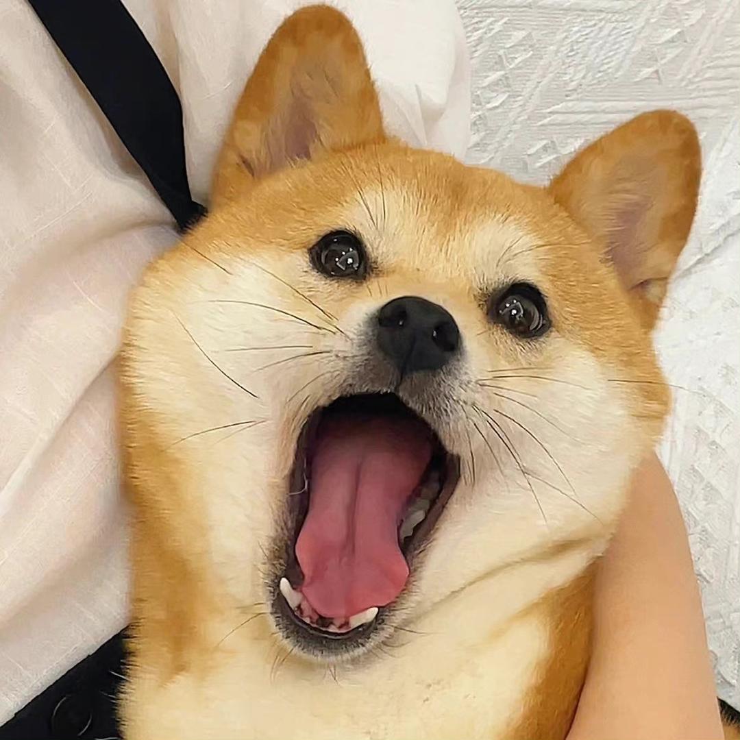 林北搞机