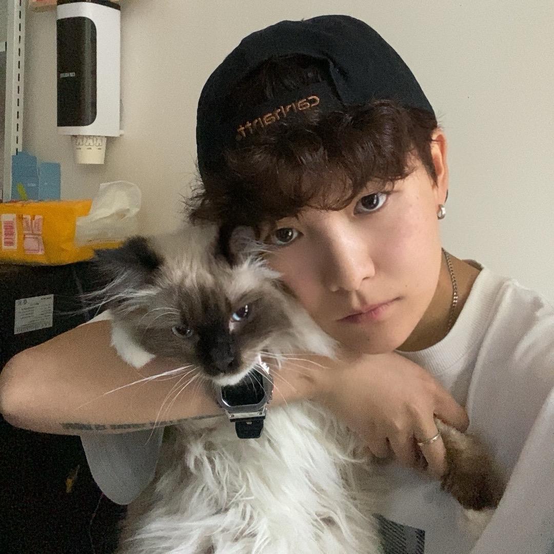 梯田种满七里香