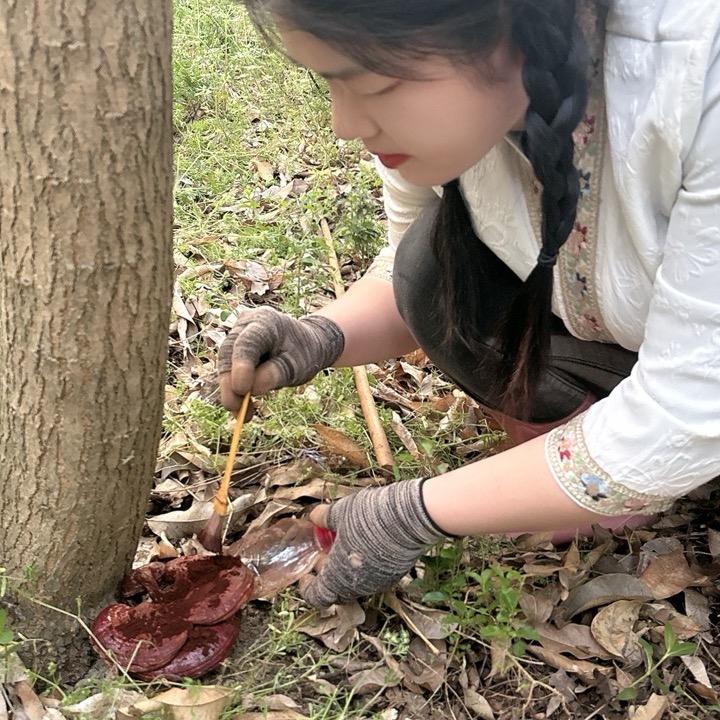 山农海笑🍃