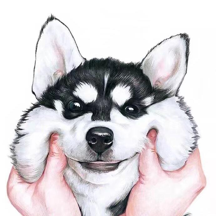 小苗的朋友圈