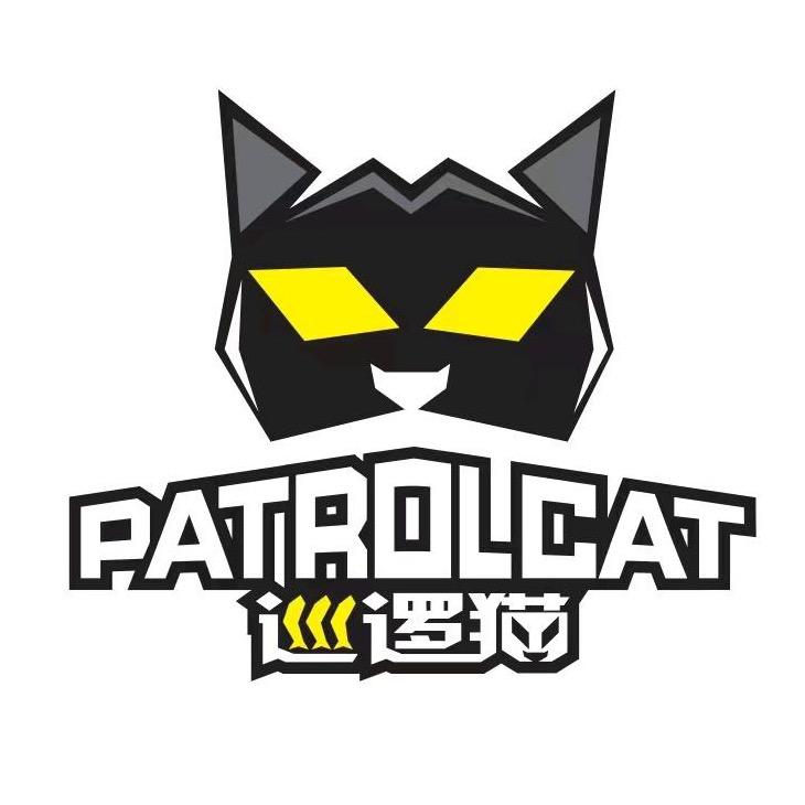 巡逻猫户外