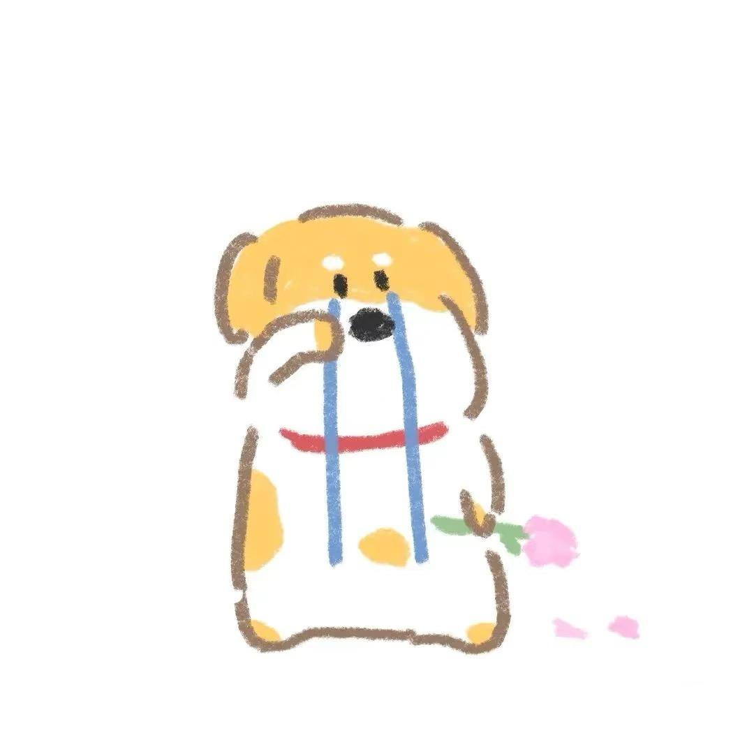 小锕佳