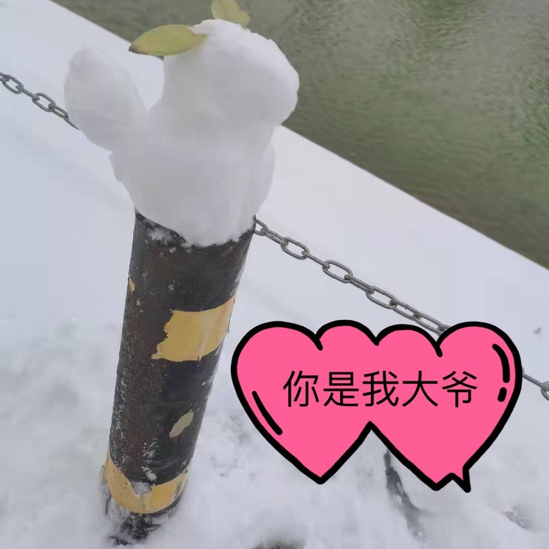 呆小骨