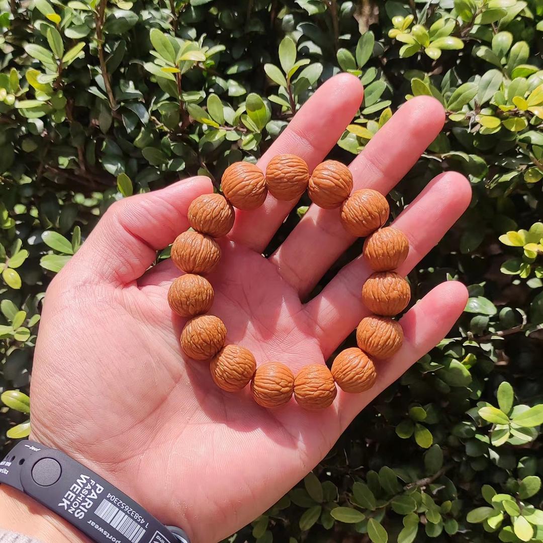 小杨红薯育苗基地🍠🍠🍠