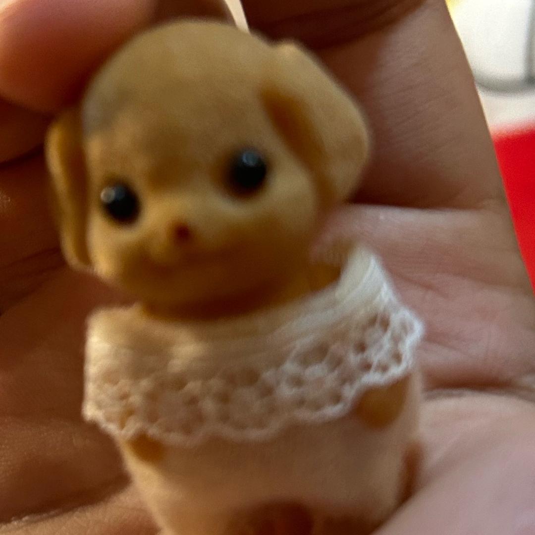 初初
