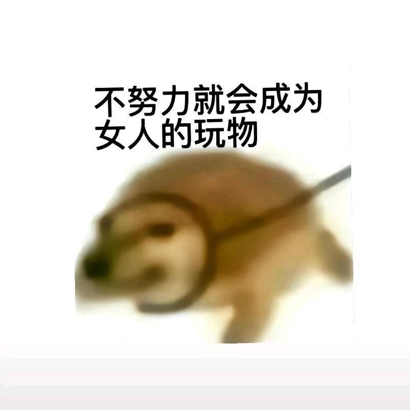 你宁宁嘞！