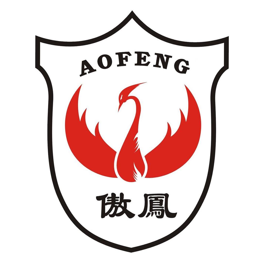 傲凤玩具水枪