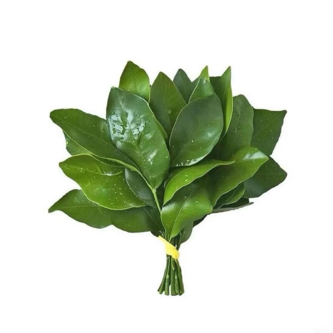 钱罐罐