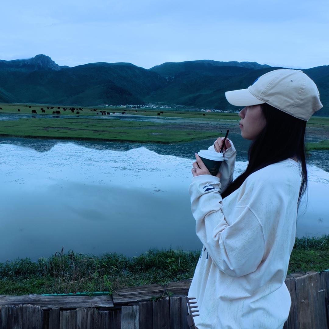 D涛.