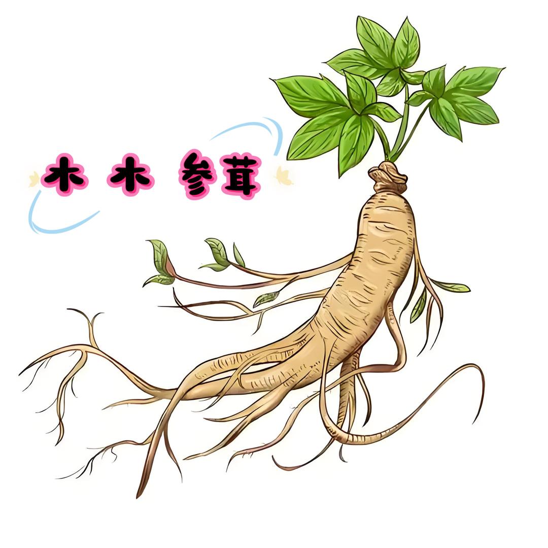 木木长白山特产