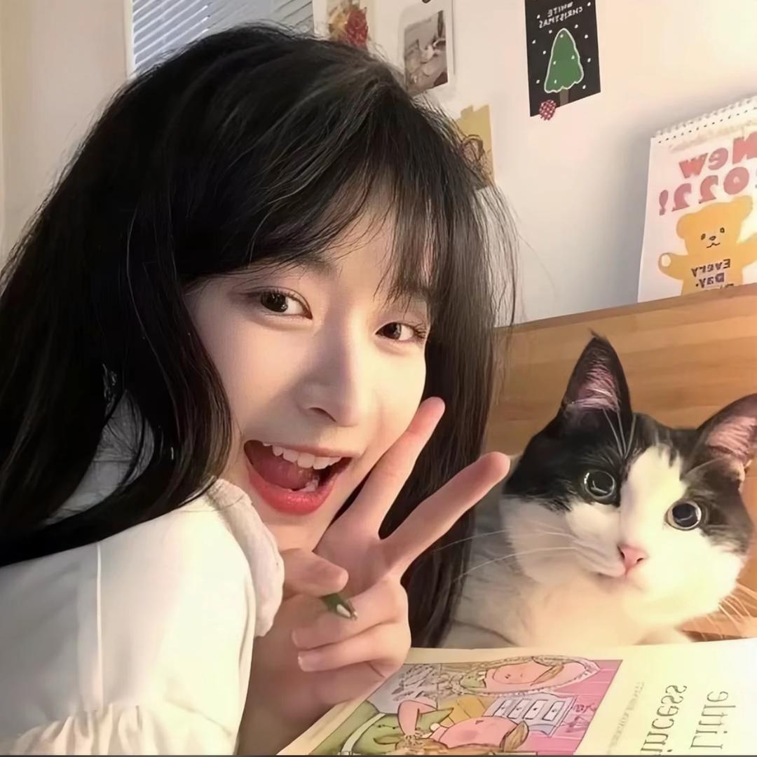 小小追星日记
