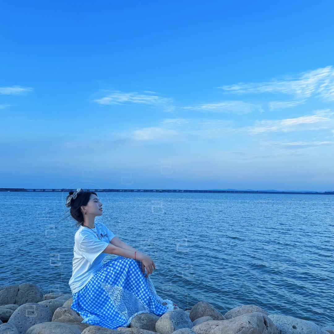 海金