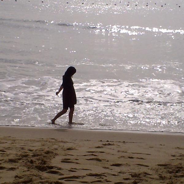 简简单单       ✨