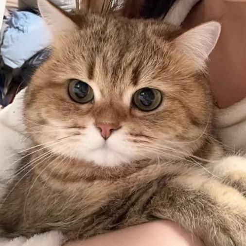 狡兔三斧（白银版）