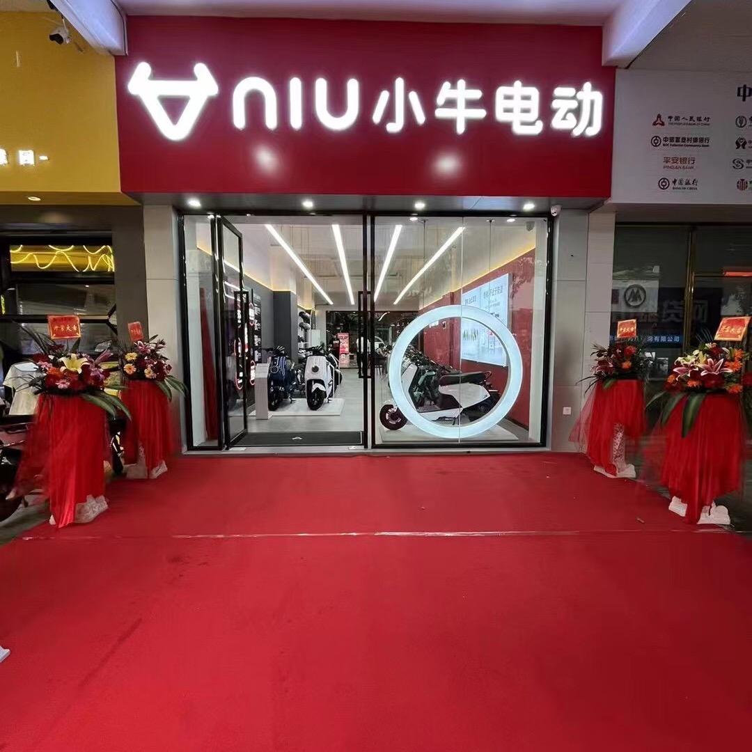 中山小榄泰丰小牛电动