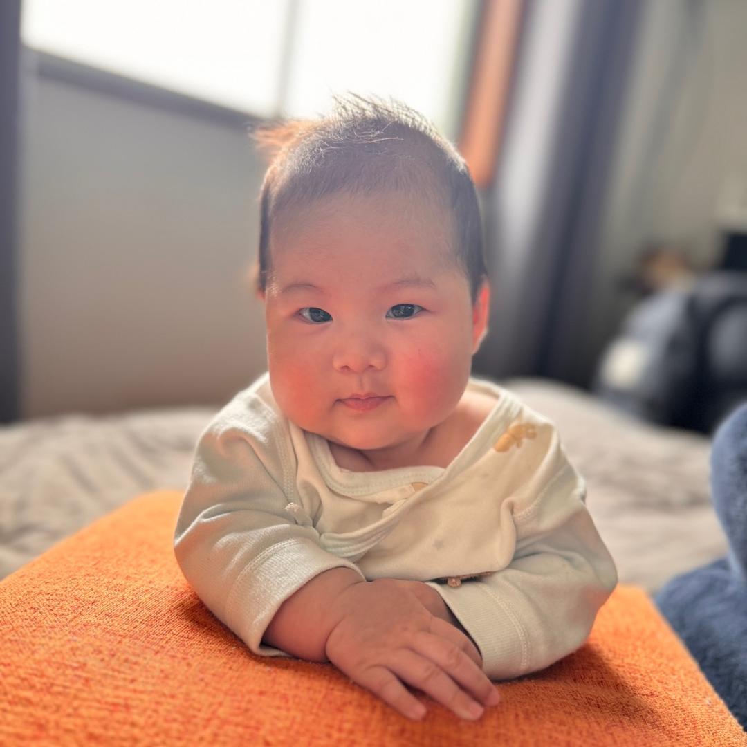 墩墩来啦