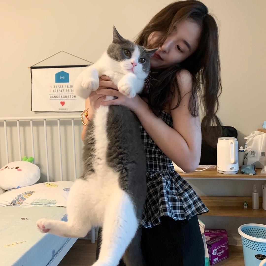 脑袋空空草莓酱