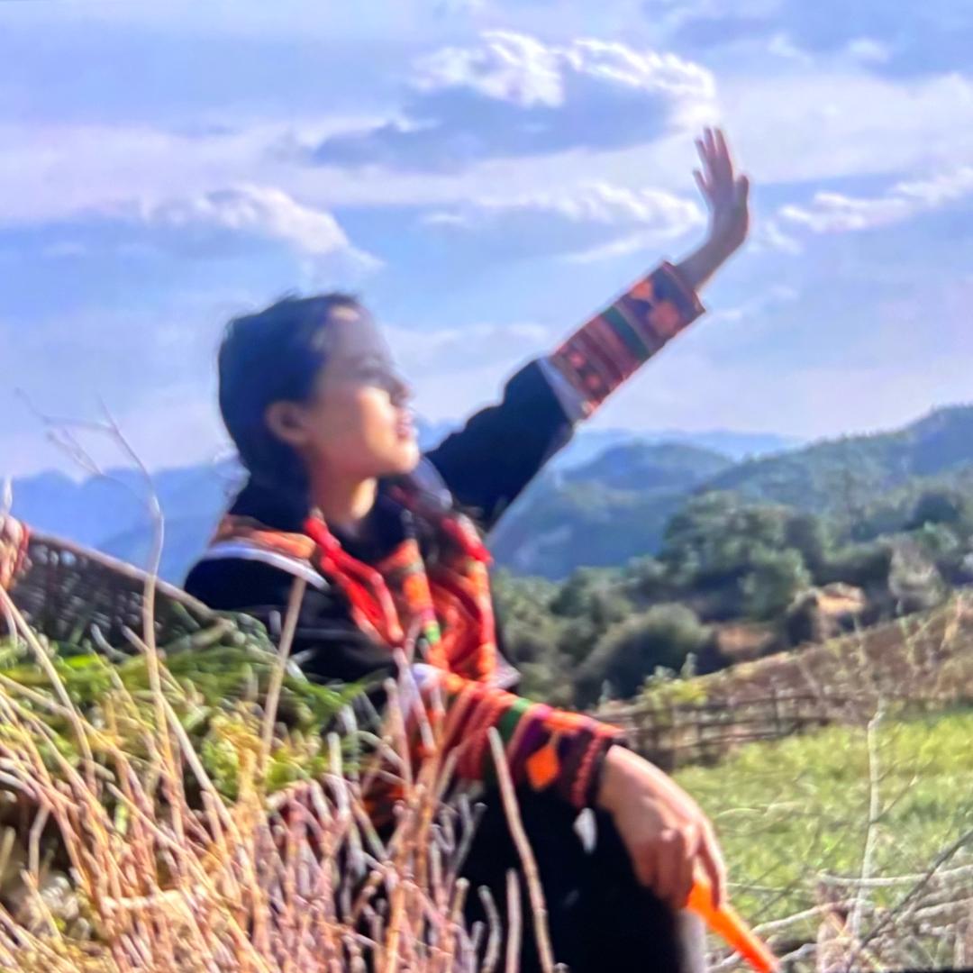 农村小花滴山货