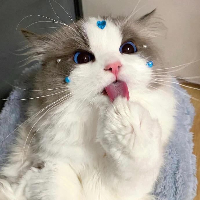 张张鱼🐟