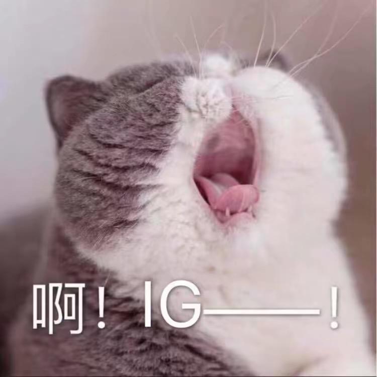 且共从容