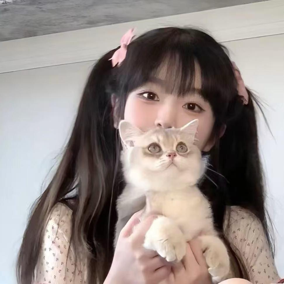 舒舒💃