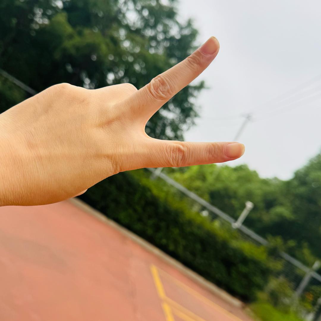 -月亮下的垂耳兔、