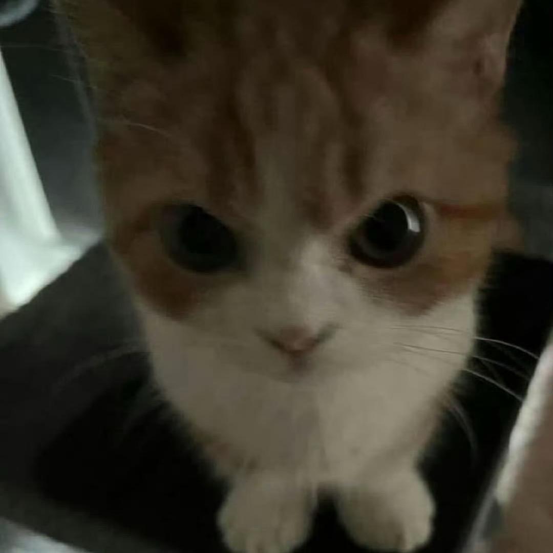 孟睿睿
