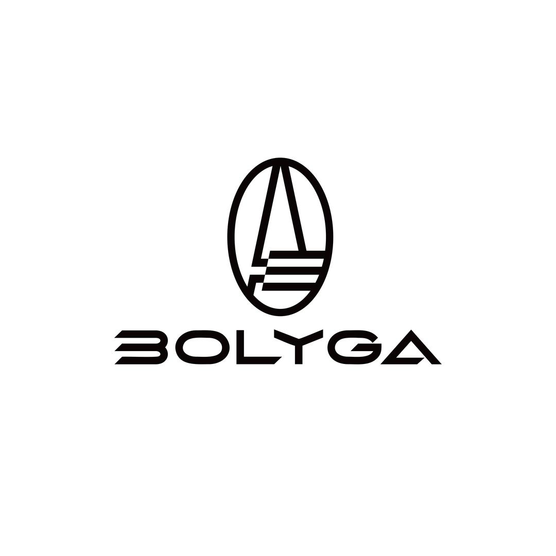 BOLYGA利迦商贸电动车专卖店