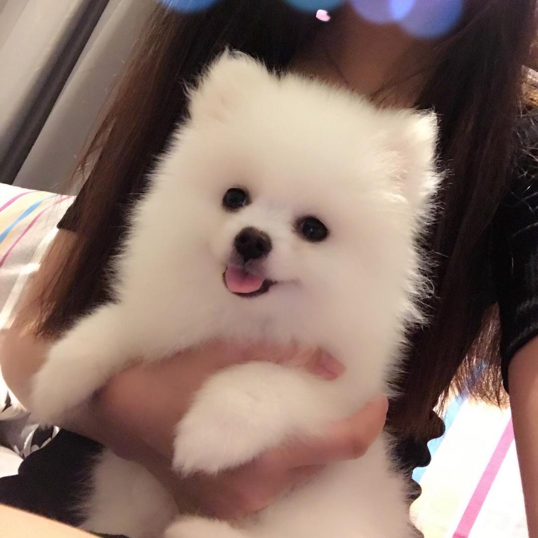 汪喵宠爱❤️