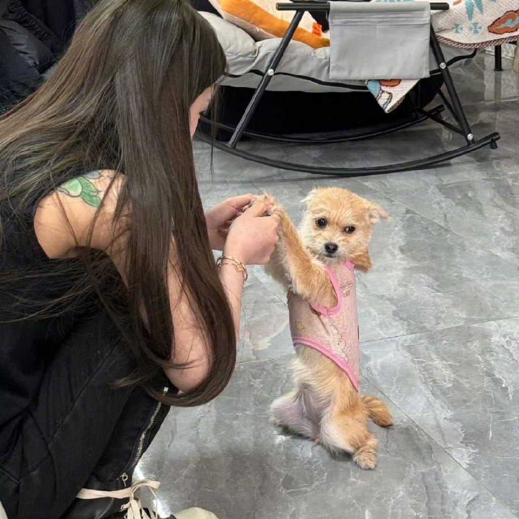 -是哈哈月.🥕
