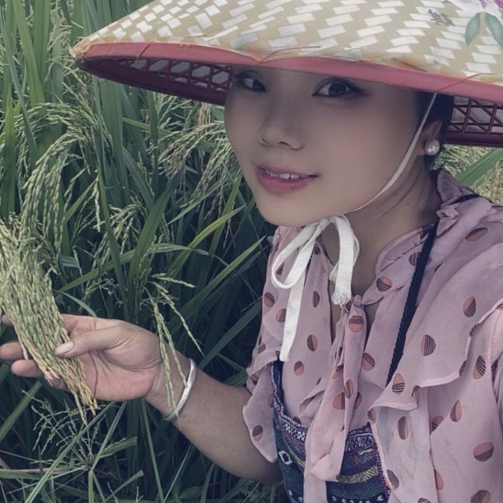 ✨如✨梦✨
