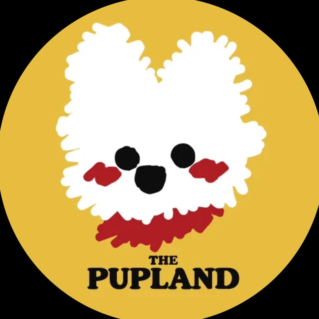The Pupland 深圳马尔济斯西施