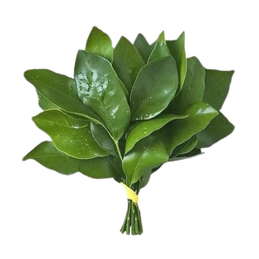 困困困困困困困困困困困困困困困困困困困困