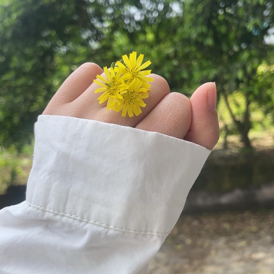生活不简单尽量简单过