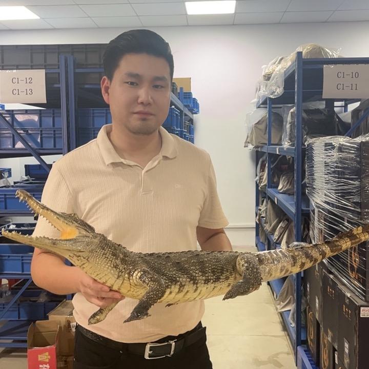 鳄珍鳄鱼高定鉴藏~豪