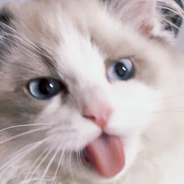 木ye