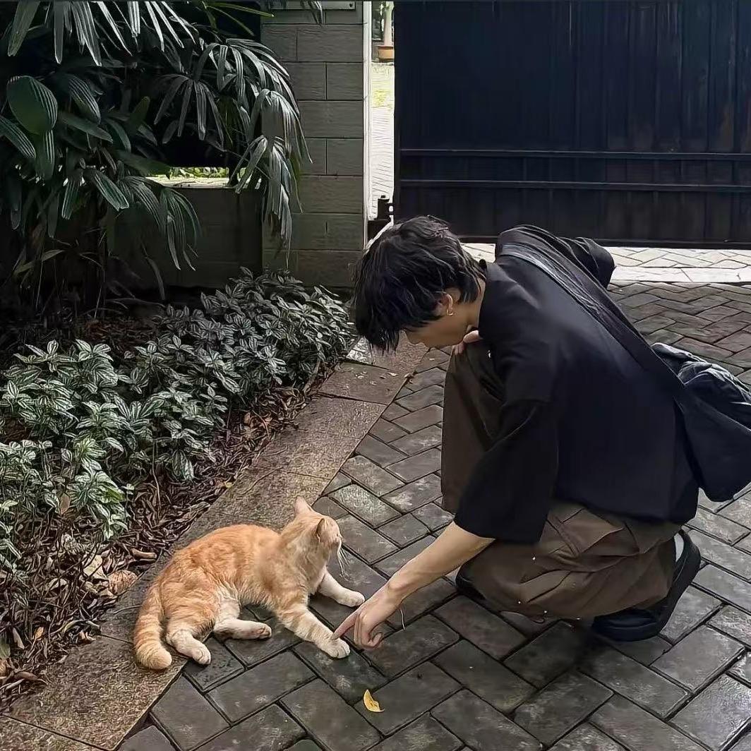 茹和果冻橙