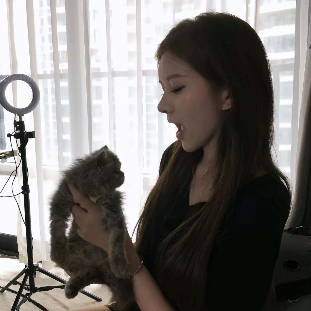ㅤㅤㅤㅤㅤ猪兔叽