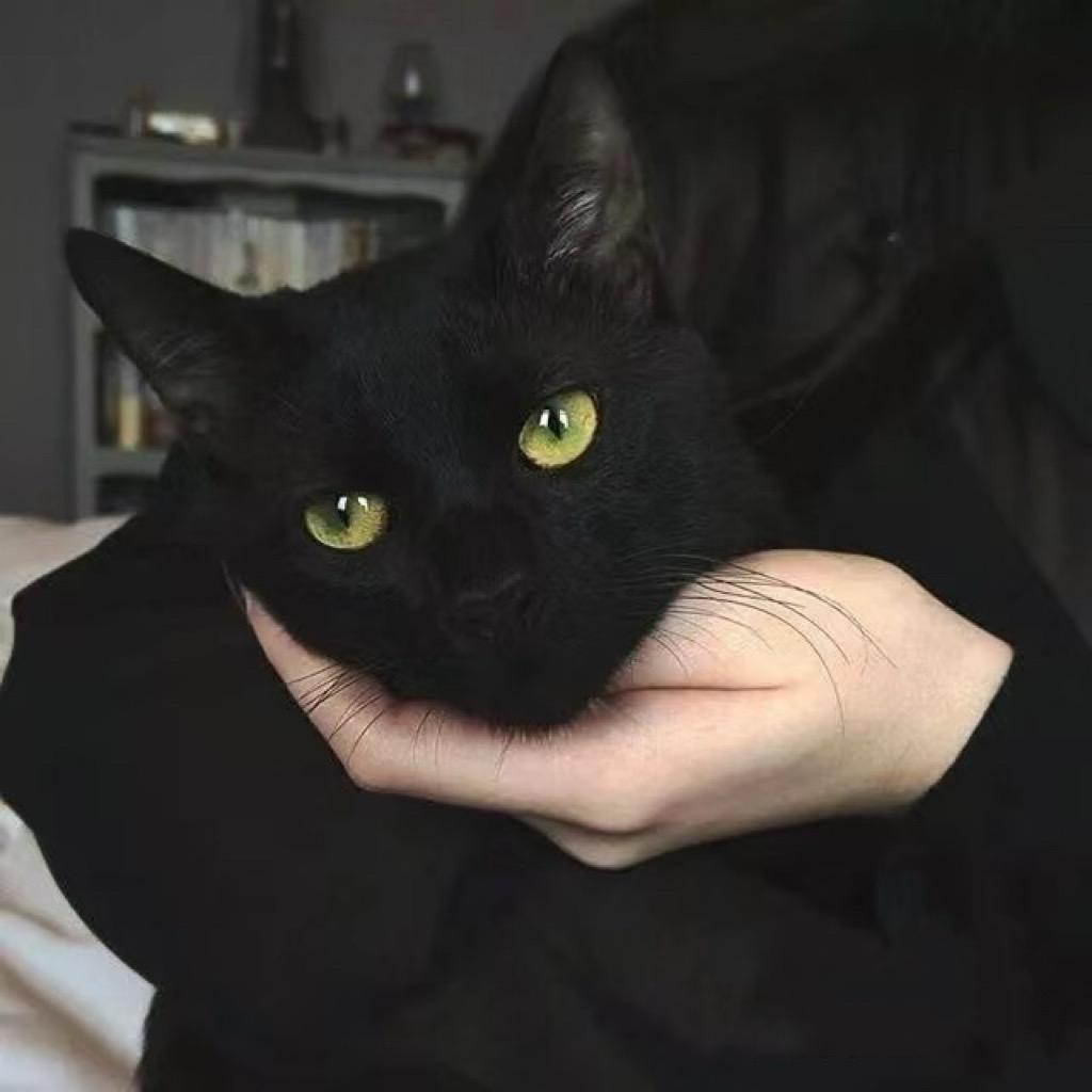 瓜🍉老婆🫧